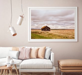 Old shack in the grassland