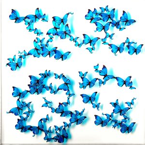 Le risque du délice