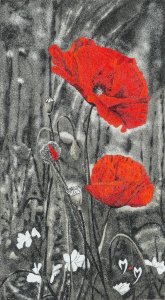 Coquelicots