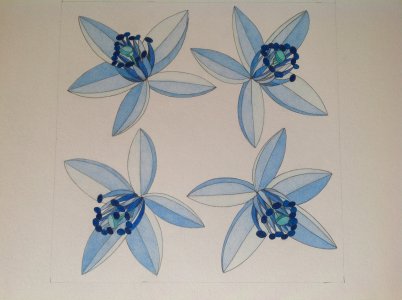 Four Blue flowers