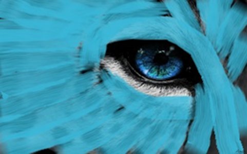 The Eye of the World