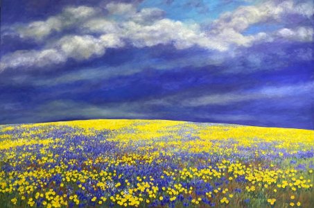 The Light after Rain