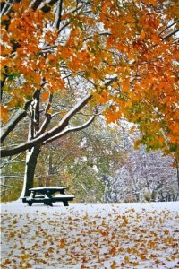 Neige d'automne