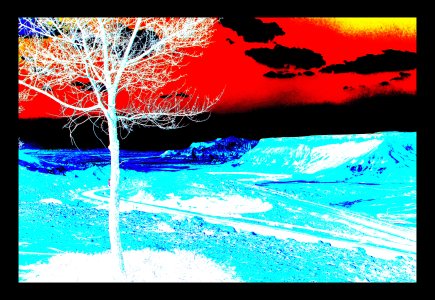 Mon Arbre, Série 6, A34..