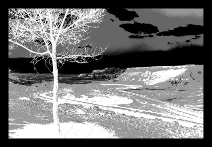 Mon Arbre, Série 6, A35.