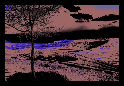  Mon Arbre, Série 6, A36.