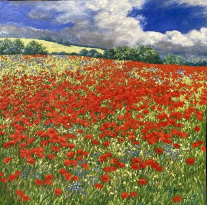 Poppies Landscape