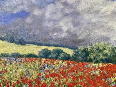 Poppies Landscape
