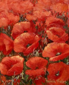 Poppies