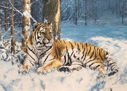 Siberian Tiger
