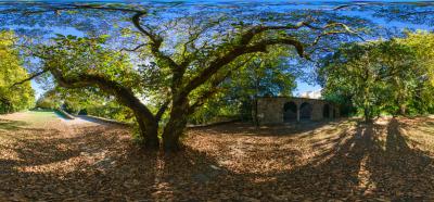 Parque de Bonaval