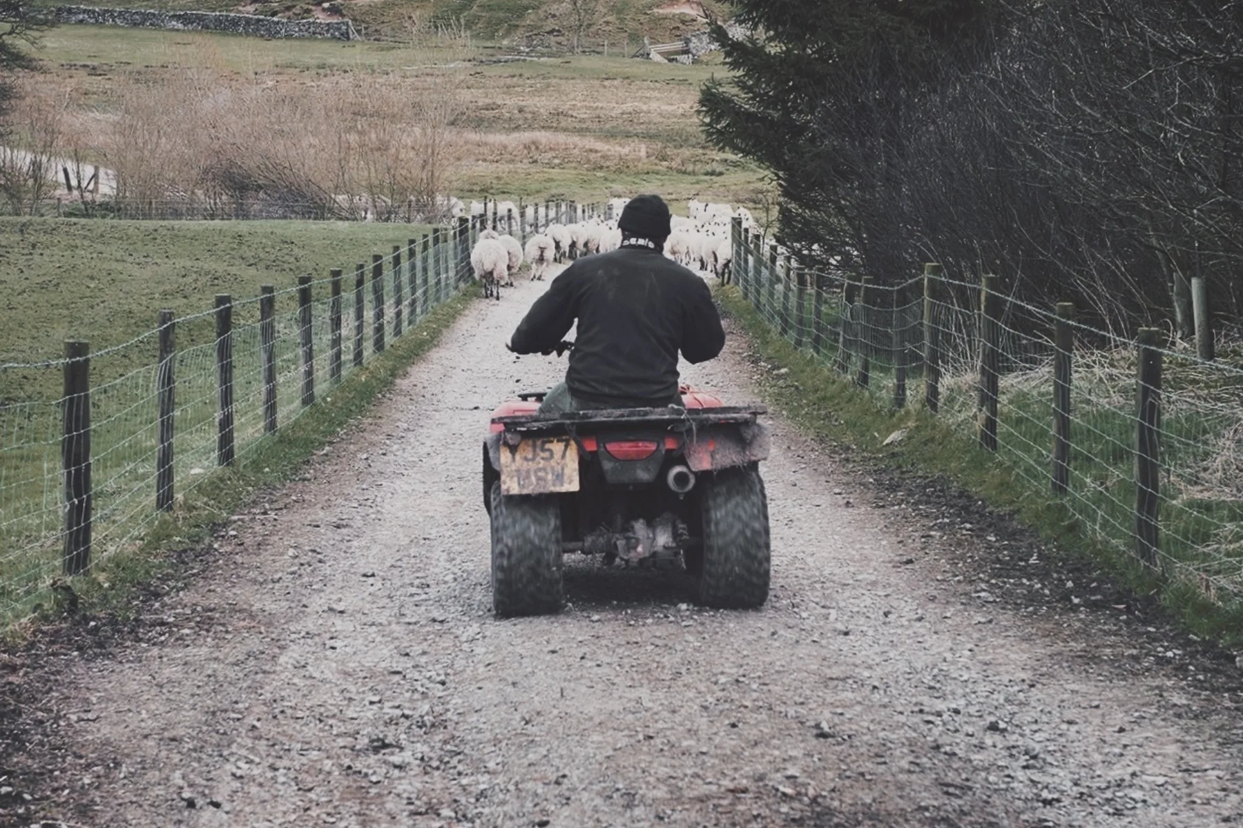 A Lake District Farmshop