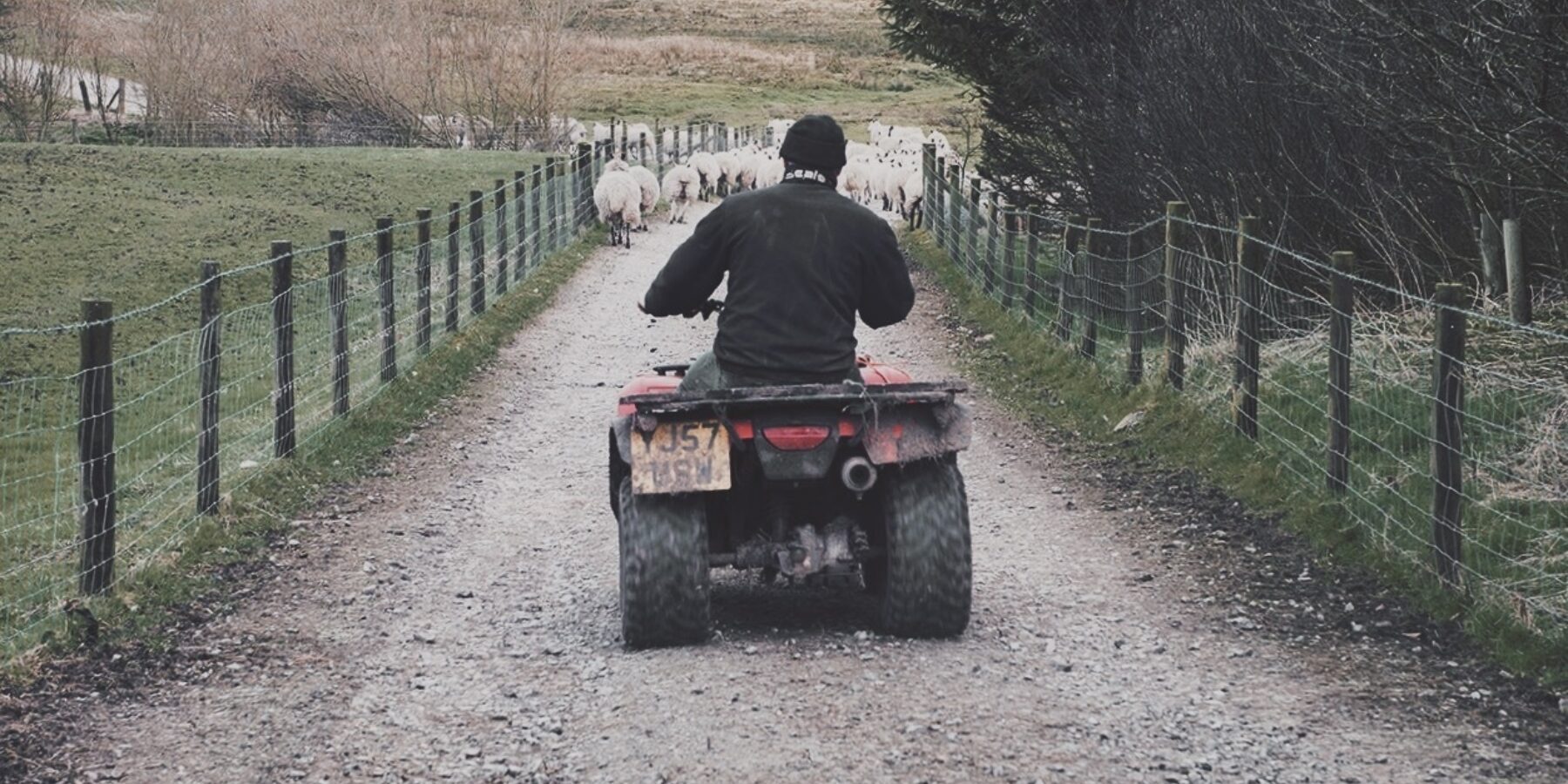 Lake District Farmeshop 2