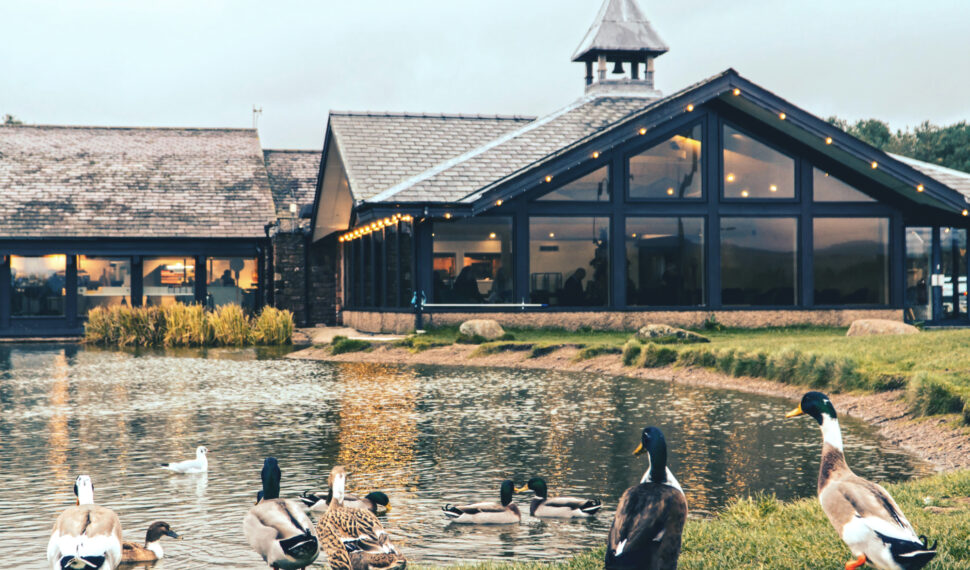 Purple Heads Back To Tebay