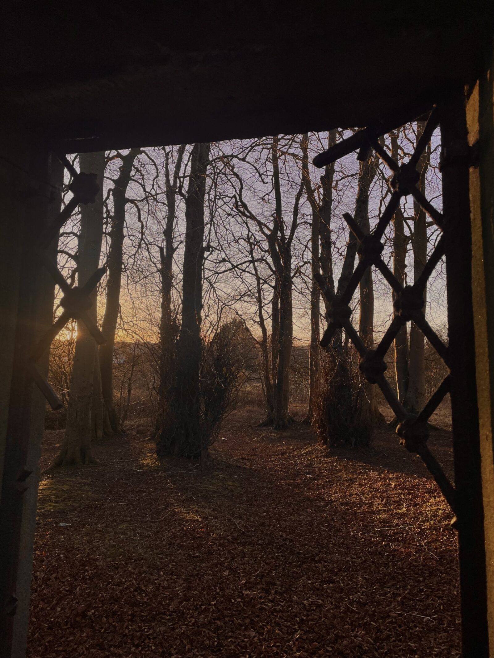 Julia Gunn Through The Broken Gate 2