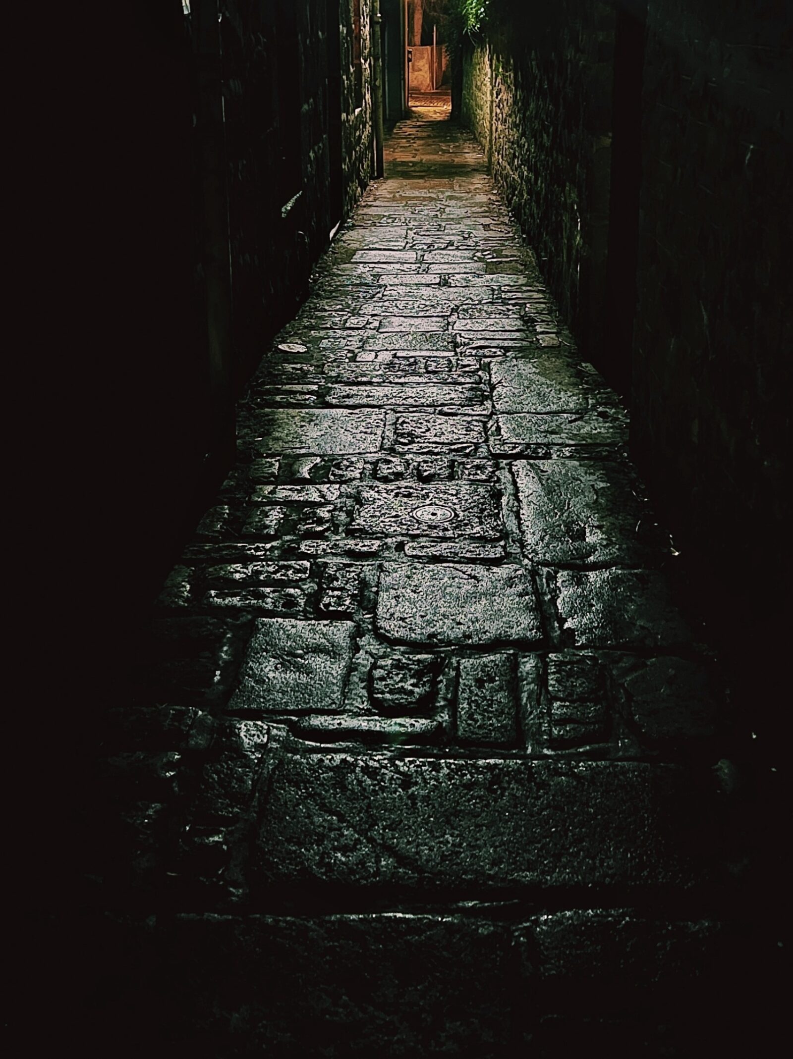 Light in the Dark Abbie Murray