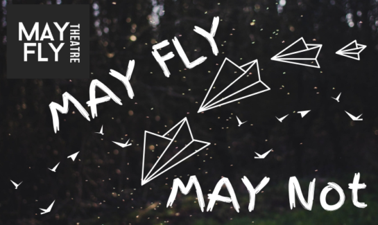 May Fly / May Not