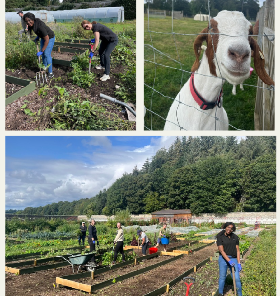 Camphill August 2026 collage 1