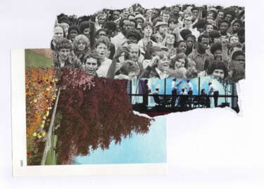 A collage for the Same Difference zine. There are three ripped images of a large burgundy tree, a group of people in an office, and a black and white image of a protest march.