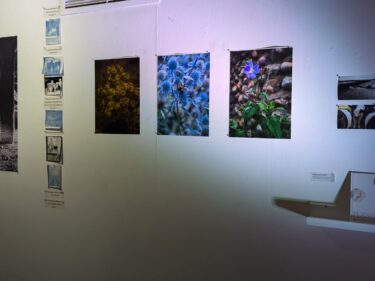 exhibition of photographs of nature and the underside of a pier, exhibition book displayed on a shelf