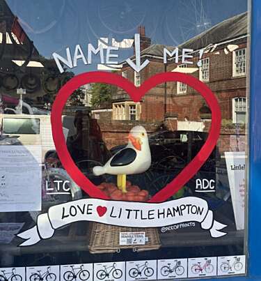 Details of how to enter the competition to name the seagull are written on a shop window with the 3D printed seagull behind.