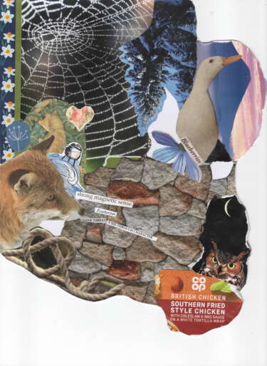 A collage for the Same Difference zine. The collage has a fox, goose, and owl along with various patterns and foliage like brickwork and spiderwebs