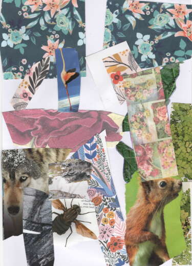 A collage for the Same Difference zine. There are floral patterns, ripped landscapes and leaves, along with pictures of a flamingo, wolf, beetle, and squirrel.