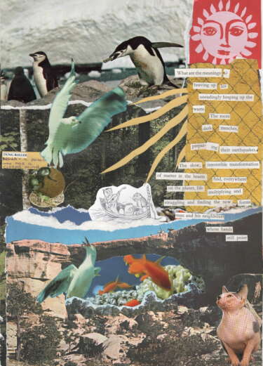 A collaged poem for the Same Difference zine. There are penguins and seagulls on top of a forest and underwater background. A hairless cat sits in the bottom right corner. The poem reads: 
What are the meanings?
heaving up ice
unendingly heaping up the
waste
the roots
dark trenches
preparing their earthquakes
The slow, irresistible transformation
of matter in the hearts and everywhere
on the planet, life multiplying and
struggling and finding the new forms
man and his neighbours
whose hands
still point