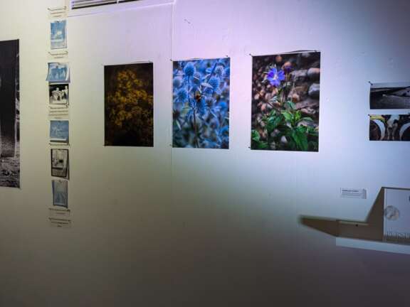 exhibition of photographs of nature and the underside of a pier, exhibition book displayed on a shelf