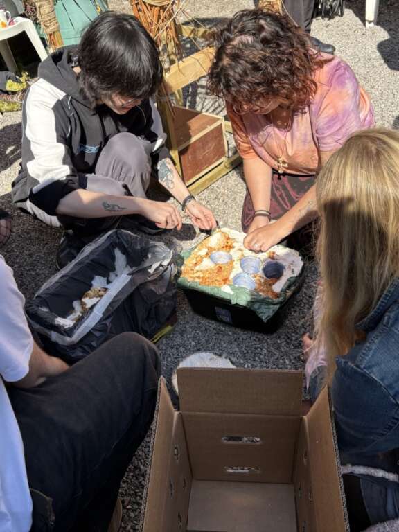 A group of young people selecting various natural materials to use for their collaborative bio sculpture
