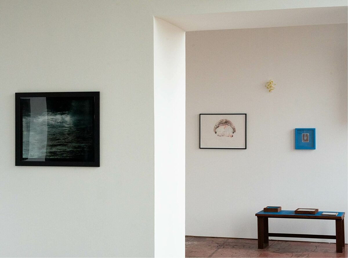 Edition26 exhibition launch