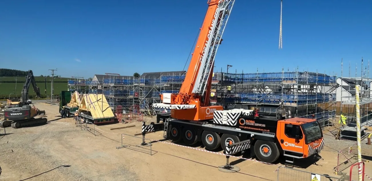 Caledonia Crane
