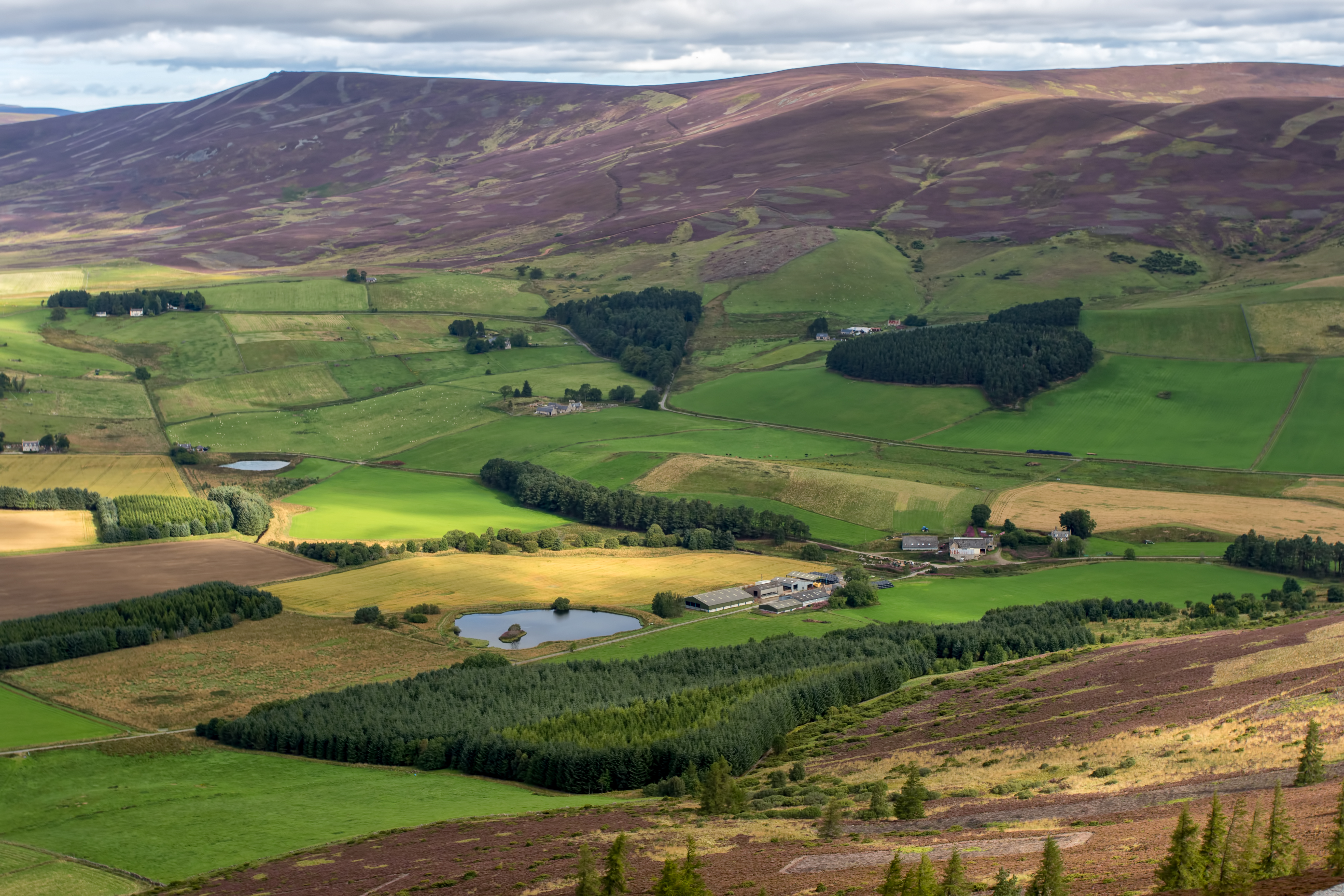 View from Ben Newe