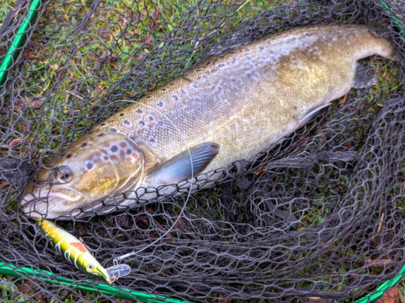 Candacraig_LuxuryFishing3_2025-09-05-131319_ayhu.jpg