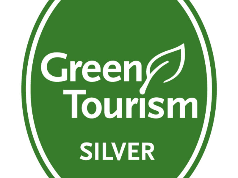 GT-generic-silver_2025-05-30-071841_jxfj.jpg
