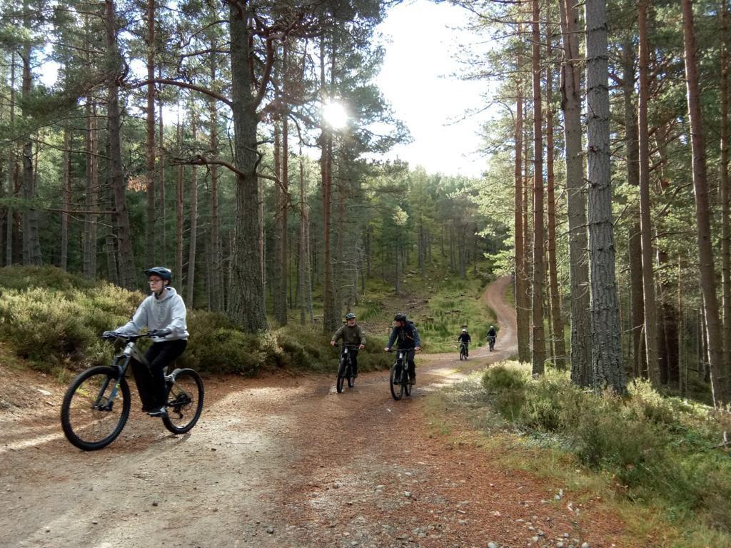 Cyclists through the woods