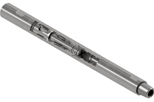 Twin Flapper Check Valve with Lock Out Sleeve