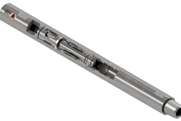 Twin Flapper Check Valve with Lock Out Sleeve