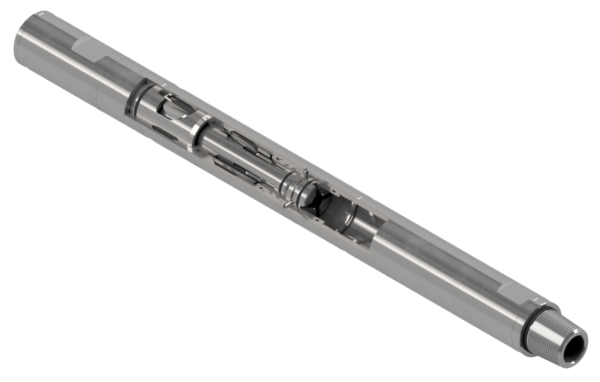 Twin Flapper Check Valve with Lock Out Sleeve