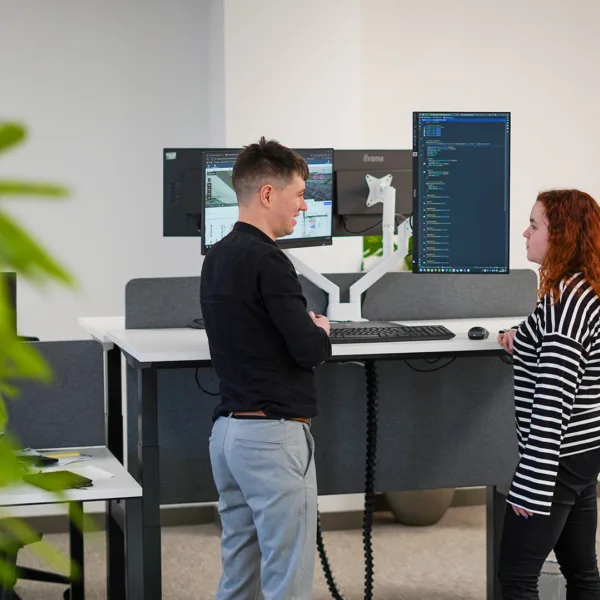 How we work domain expertise