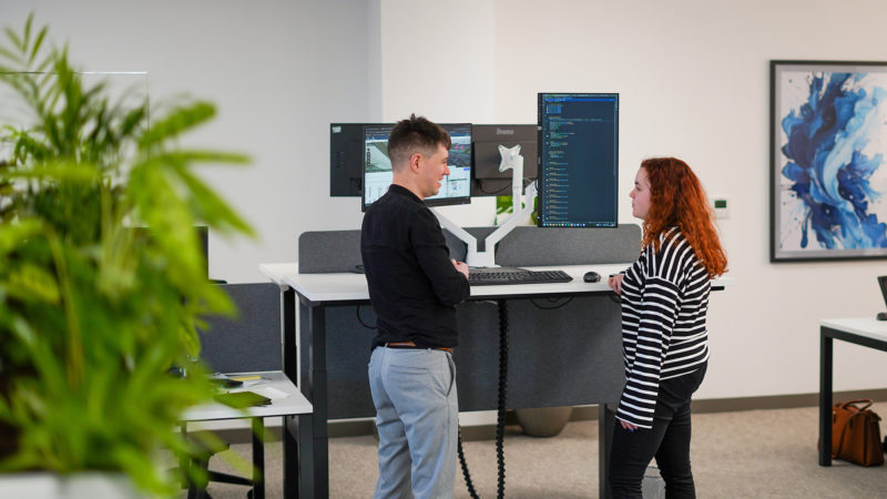 How we work domain expertise