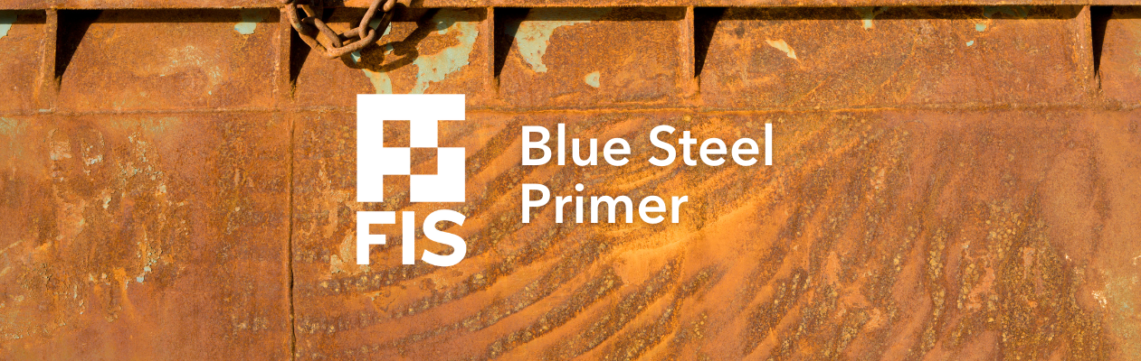 Blue Steel Primer by FIS Chemicals