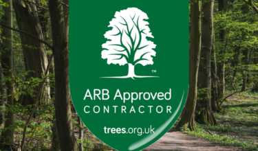 Arboricultural Association Approved Contractor Accreditation