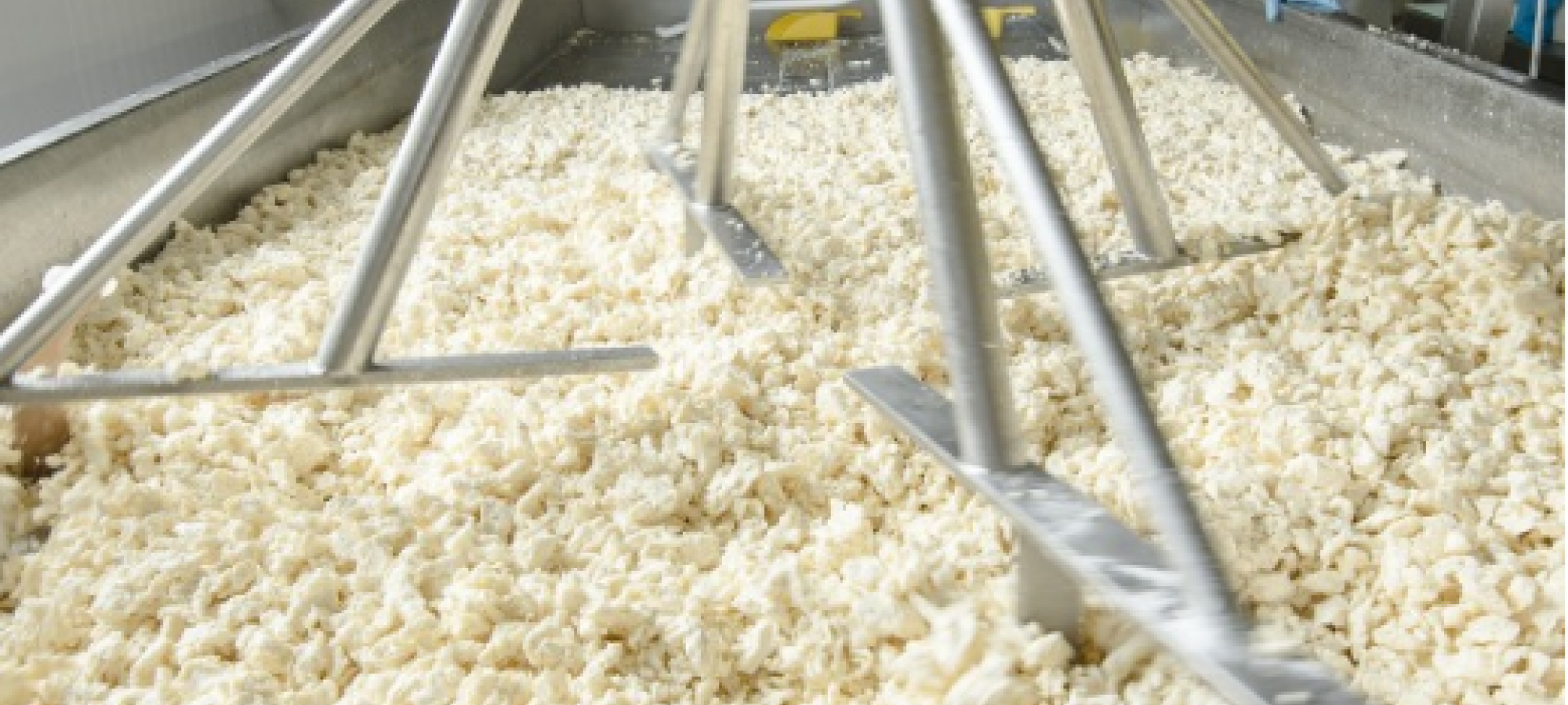 Dairy Extension
