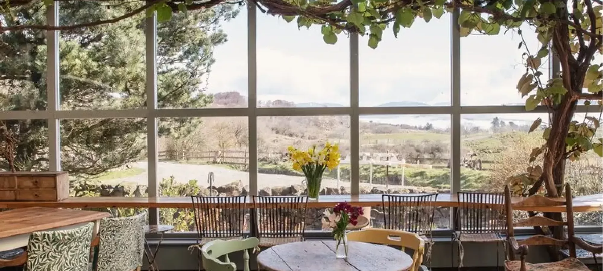 The Glass House