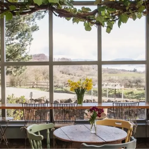 The Glass House