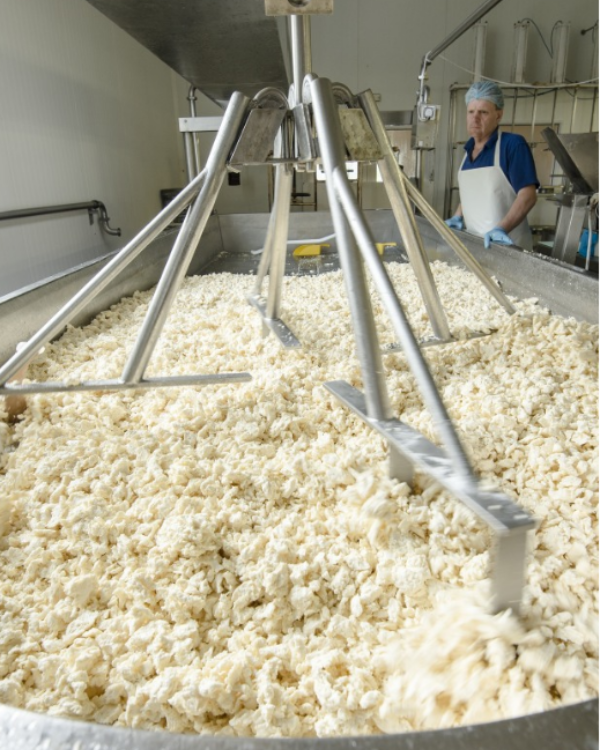 Dairy Extension