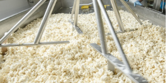 Dairy Extension