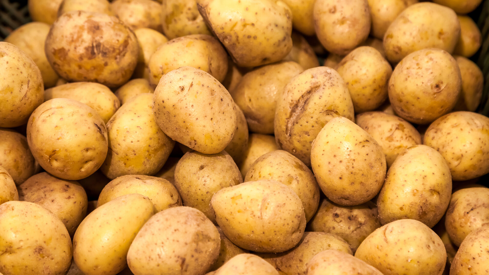 A large quantity of raw, light yellow potatoes fills the entire frame. The potatoes are unpeeled and have some dirt on them. They have small dark spots all over.