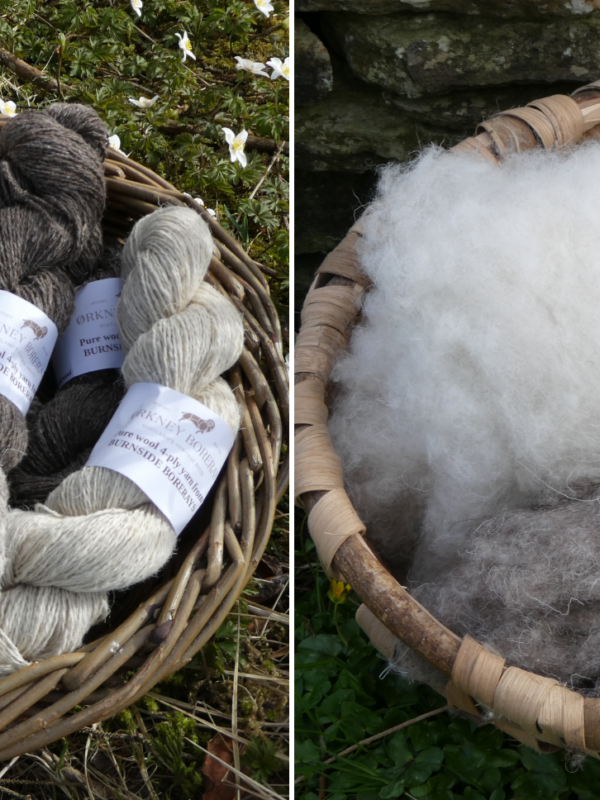 Spinning fibre and knitting yarn